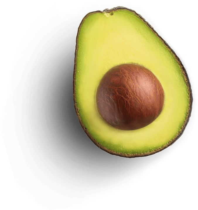 avocado2x