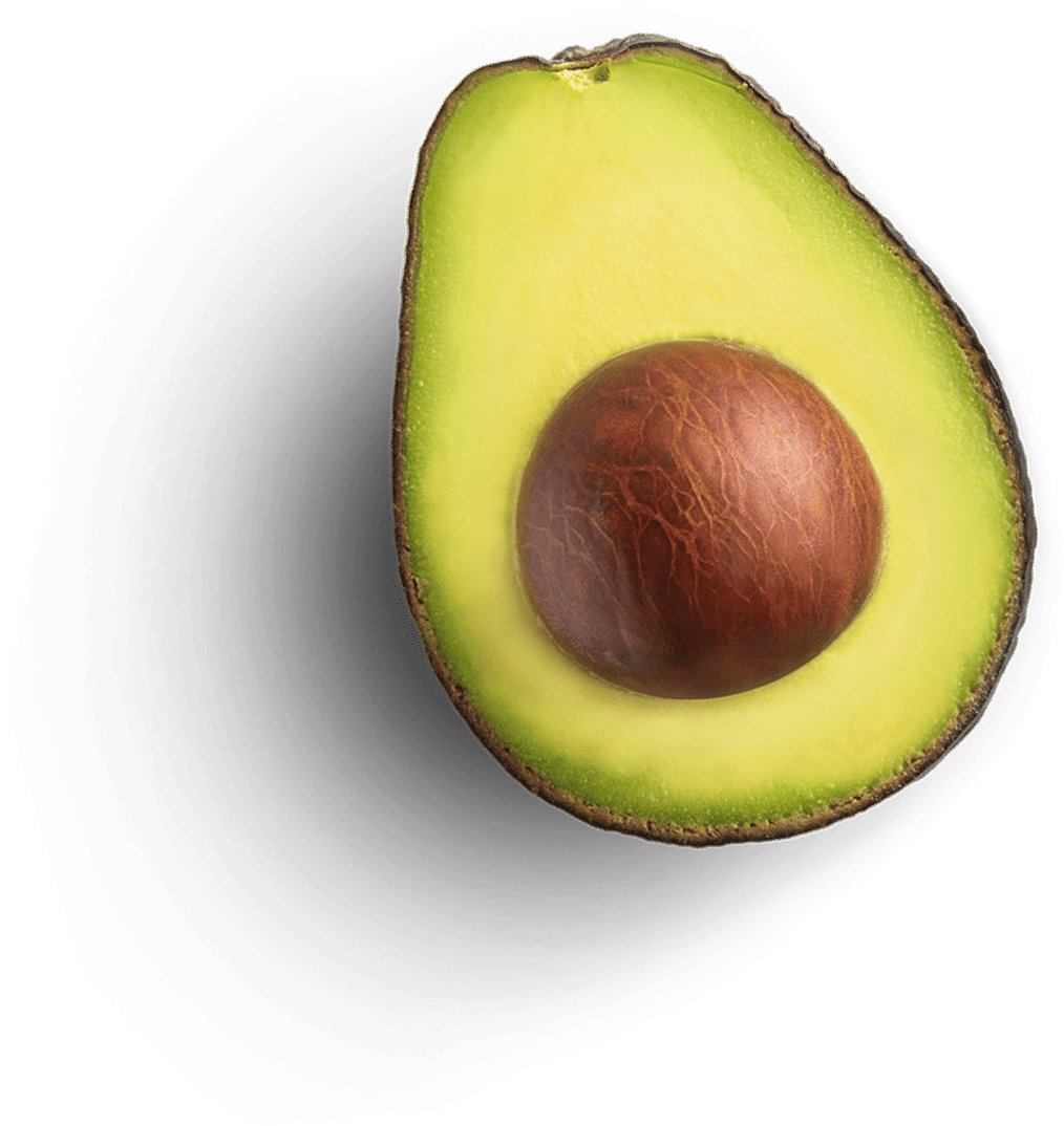 avocado3x